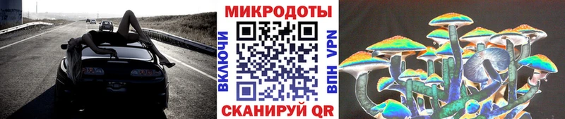 цена наркотик  Стерлитамак  Псилоцибиновые грибы Psilocybine cubensis 